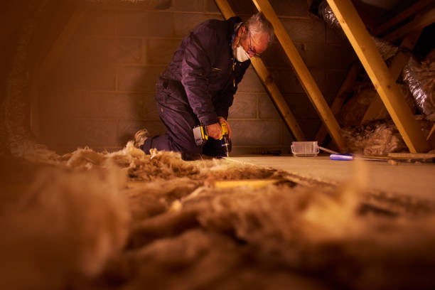 Best Basement Insulation  in Elwood, KS